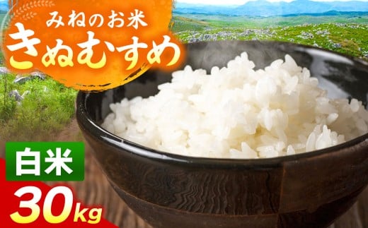 令和7年度産 きぬむすめ 白米 30kg ｜   白米  米 雑穀 お米 コメ 単一米 きぬむすめ 絹娘  山口 美祢 秋吉台