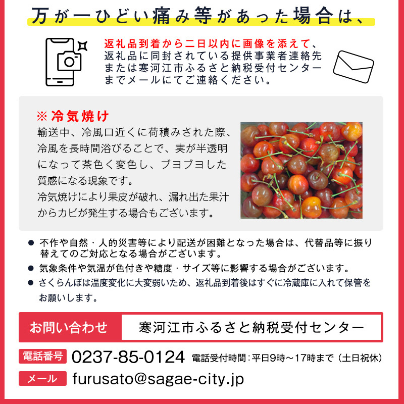 令和7年産 さくらんぼ「 佐藤錦 」500g (250g×2パック) 秀品 Lサイズ以上 2025年産 山形県産 山形産 【2025年6月上旬頃～下旬頃発送予定】　012-A-AF020 500g (