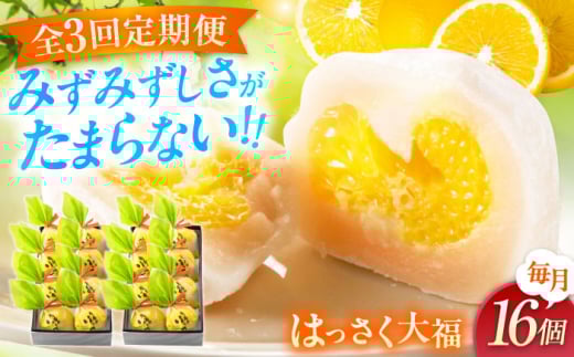 【ふるさと納税】【全3回定期便】お菓子 はっさく大福8個入×2　 お菓子 大福 八朔 柑橘 みかん オレンジ 餅 ギフト お取り寄せ スイーツ フルーツ大福 ご当地 菓子 おかし デザート 食品 人気 おすすめ 広島県福山市/株式会社虎屋本舗[BADH026]