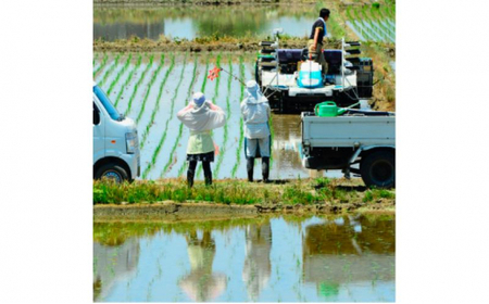 富山県産コシヒカリ 5kg×2袋(計10kg) 高岡市 米 精米
