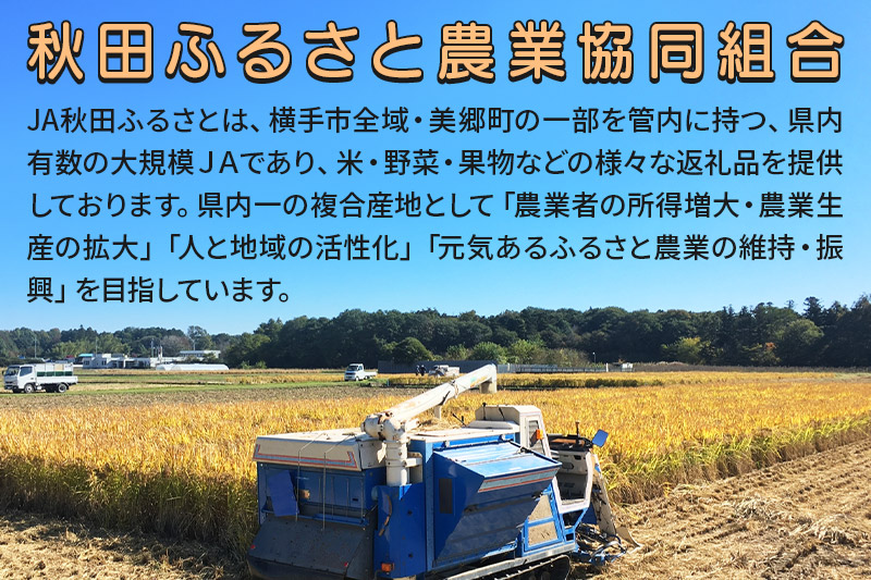 秋田県横手市産 りんご 王林 家庭用 約10kg