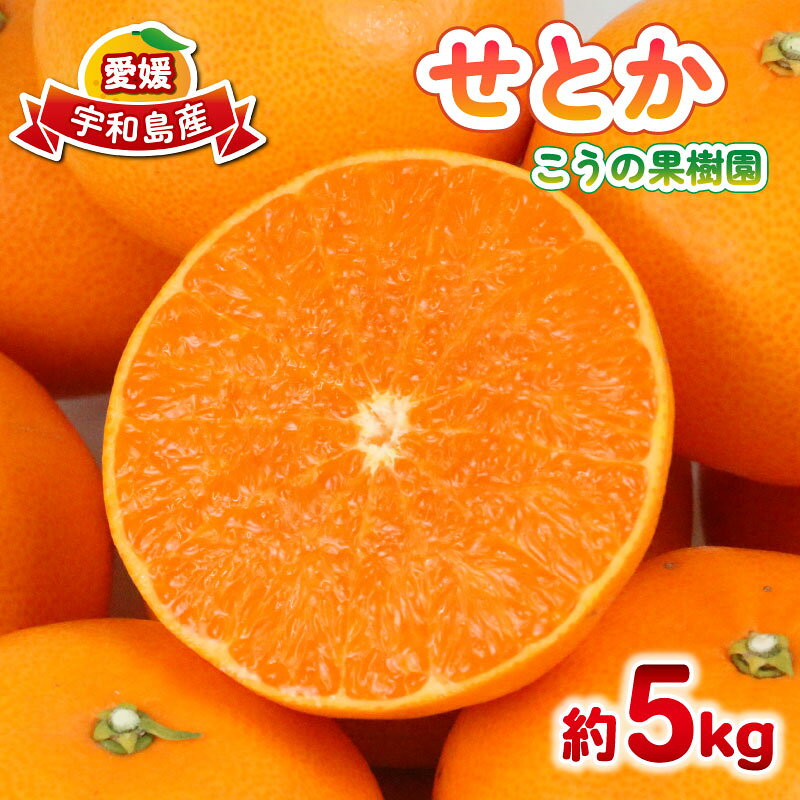 【ふるさと納税】 せとか 5kg こうの果樹園 高級柑橘 みかん ミカン 蜜柑 mikan 果物 くだもの フルーツ 柑橘 甘い 甘味 ブランド シャキシャキ 希少 品種 産地直送 農家直送 数量限定 国産 愛媛 宇和島 B016-182009