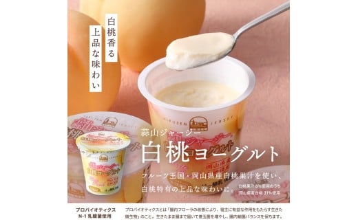 【6カ月定期便】 蒜山ジャージーデザートヨーグルト12個セット（4種類×３個） 詰め合わせ 乳製品 贅沢ヨーグルト スイーツ 白桃 マンゴー ブルーベリー 食べ比べ プレゼント 蒜山酪農 真庭 岡山 