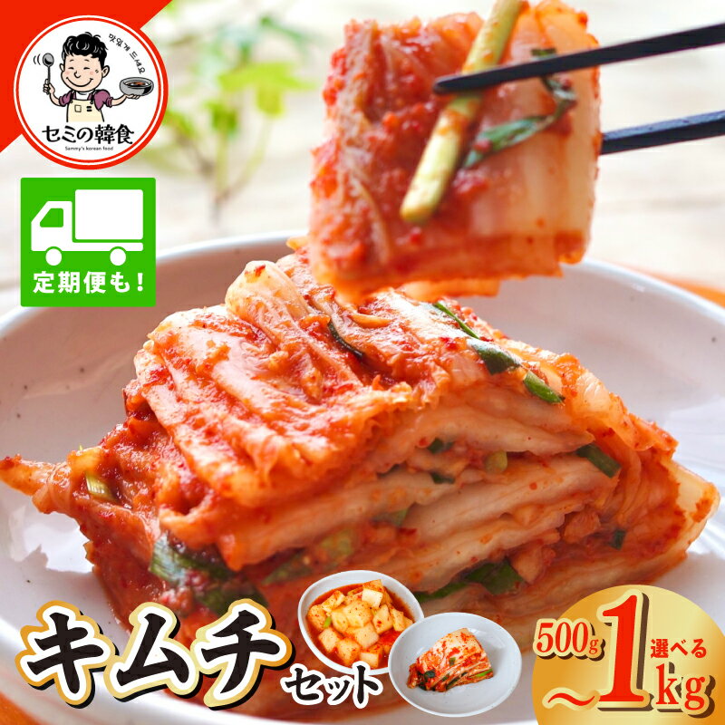 【ふるさと納税】韓国人が作る！キムチ セット 選べる 内容量 500g / 1kg 白菜 カクテキ 季節のキムチ 100g 定期便 高評価 砂糖不使用 人気 惣菜 漬物 韓国グルメ 炒め物 チゲ 豚キムチ 冷麺 おつまみ おかず お取り寄せ 大阪府 泉佐野市 送料無料