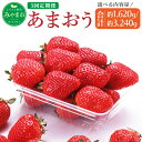 【ふるさと納税】3回定期便 ＜選べる容量＞ あまおう 合計約1,620g または 約3,240g 約270g×2パック または 4パック ×3回 イチゴ いちご 苺 果物 くだもの フルーツ 1kg以上 定期便 福岡県産 九州 予約 送料無料 【2025年1月下旬から順次発送】