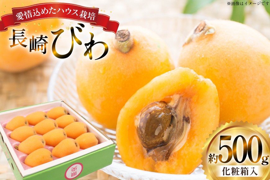 
                  長崎 びわ 長崎県産 ハウスびわ 500g 化粧箱入 【2026年3月順次発送】[JAながさき県央グリーン東彼 長崎県 東彼杵町 hs42bag450001] 枇杷 長崎びわ ビワ フルーツ 
                