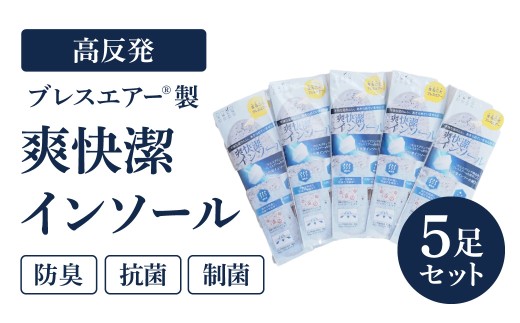 高反発ブレスエアー®製「インソール」5足セット 日本製 近江化成工業株式会社 滋賀県 東近江市 A-G22 洗える 蒸れない 抗菌 防臭 足ムレ対策 水虫予防 立ち仕事 足裏快適 高通気 衝撃吸収 スニーカー ブーツ 安全靴 革靴