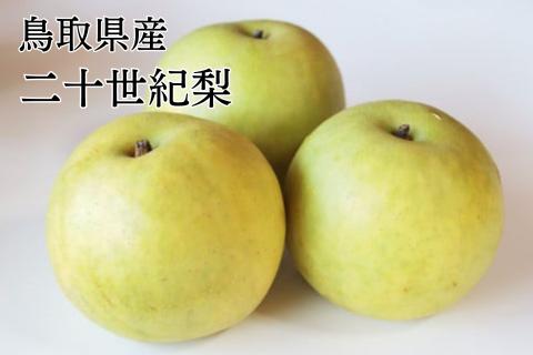 鳥取県産二十世紀梨 2.5kg＜1月出荷＞