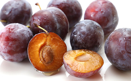 山形産 プルーン 約1.6kg(400g×4パック) 【令和6年産先行予約】FU23-535