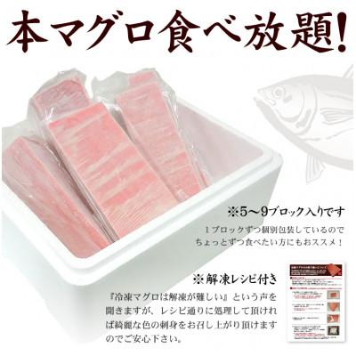 ふるさと納税 いわき市 本マグロ赤身 約1kg 解凍レシピ付 1サクずつ真空包装 |  | 01