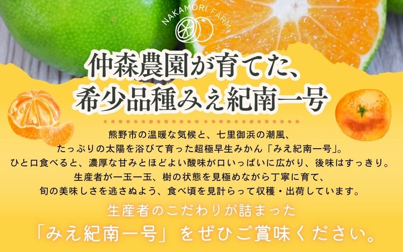 仲森農園の超極早生温州みかん みえ紀南一号 約5kg みかん ミカン 蜜柑 温州みかん 温州ミカン 柑橘 フルーツ 果物 くだもの 甘い 旬 数量限定 期間限定 産地直送 三重県 熊野市【2026年9