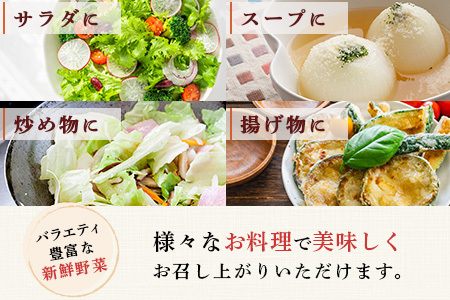 【定期便6回】熊本の大地の恵み 旬の こだわり野菜詰め合わせセット 8〜12品 （3〜4名様向け）6回配送 獲れたて 新鮮 野菜 セット 詰め合わせ 詰合せ 定期便 産地 直送 国産 季節 旬野菜 家