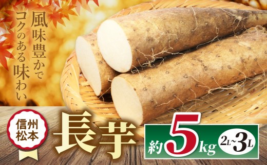 
                  【先行受付：11月発送】 長芋 2L～3L 約5kg｜ 長芋 野菜 長いも 料理 自然 芋 ビタミン 豊富 地元 新鮮 ふるさと納税 松本市
                
