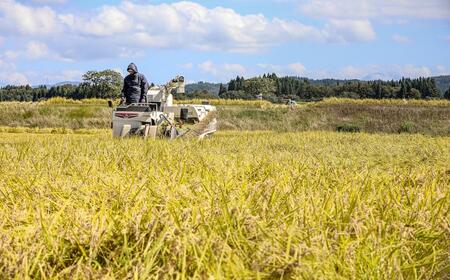 【2025年産 】県認証米魚沼産コシヒカリ 5kg(5kg×1袋) 産地限定！農家直送 |津南町 魚沼産 コシヒカリ
