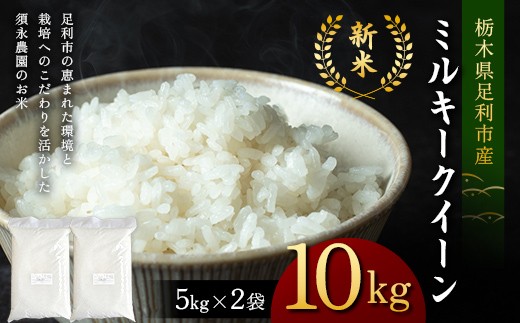 令和8年産 栃木県足利市産 新米 ミルキークイーン10kg〈5kg×2袋〉 精米 白米 米 こめ ごはん 食品 栃木県 足利市 F7Z-2022