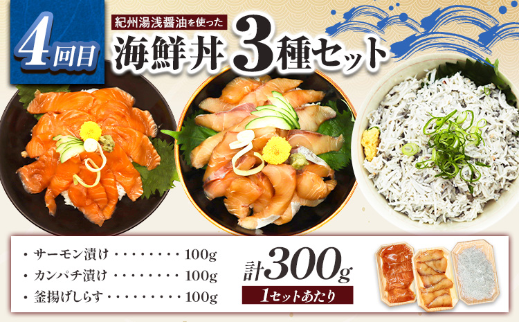 【定期便 全4回】サバフィレ 銀鮭切身 魚切り身詰合せ 海鮮漬け 選べる 内容量 株式会社魚鶴商店《お申し込み月の翌月より出荷開始》 和歌山県 日高町 鮭 さけ 紅さけ 切り身 さば 塩さば 焼き魚 