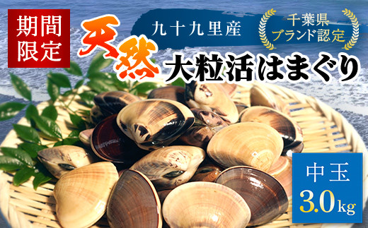 【千葉県ブランド認定】天然大粒活はまぐり（中玉）《3㎏》ギフトBOX付き／ふるさと納税 はまぐり ハマグリ 蛤 貝類 魚介 海鮮 お吸い物 パスタ パエリア お歳暮 贈答 お祝い 千葉県産 千葉県 山武市 SMBO005