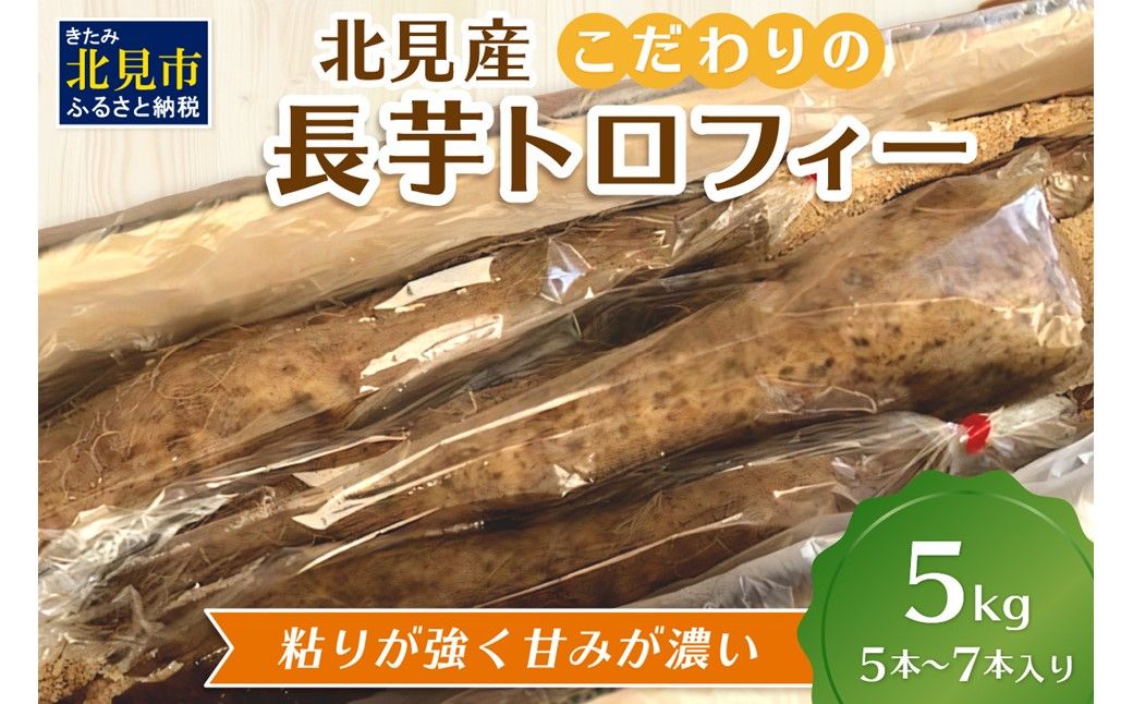【予約：2026年11月下旬から順次発送】北見産 こだわりの長芋トロフィー 5kg箱 ( 長いも ながいも 野菜 数量限定 期間限定 5キロ )【169-0001-2026】