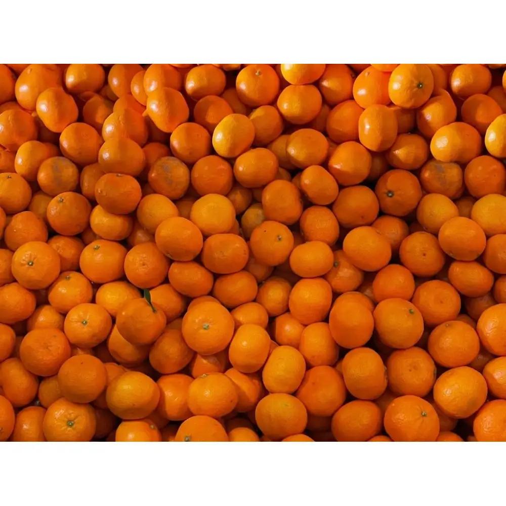 ［秀品・サイズMIX］まる隆果樹園　和歌山有田産！早生みかん≪5kg≫［予約販売］［数量限定］