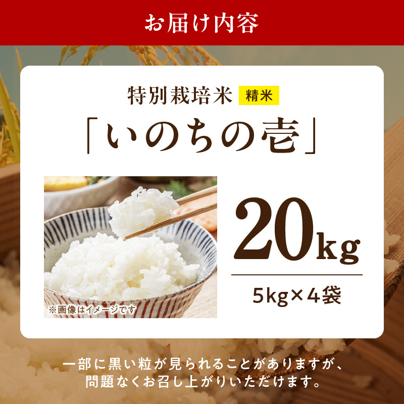 【R8年産新米 先行受付】特別栽培米「いのちの壱」（20kg）＜農家直送＞ ［208K04］ 希少米 20kg 米 新米 精米 白米 ご飯 国産 産地直送 甘い 粘り強い もちもち お取り寄せ_イメー