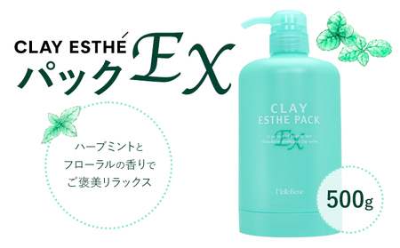 トリートメント クレイエステ パック EX 500g《30日以内に出荷予定(土日祝除く)》茨城県 結城市 化粧品 ヘアケア トリートメント ミント スカルプ ヘアエステ クレイ 詰め替え用 ケア用品 ヘア 美容【配送不可地域あり】