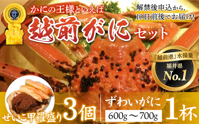 【産地直送】先行予約！ 福井冬の味覚！越前がに（ずわいがに活 600～700g 1杯） ＆ せいこ甲羅盛り3個  2024年11月15日以降発送