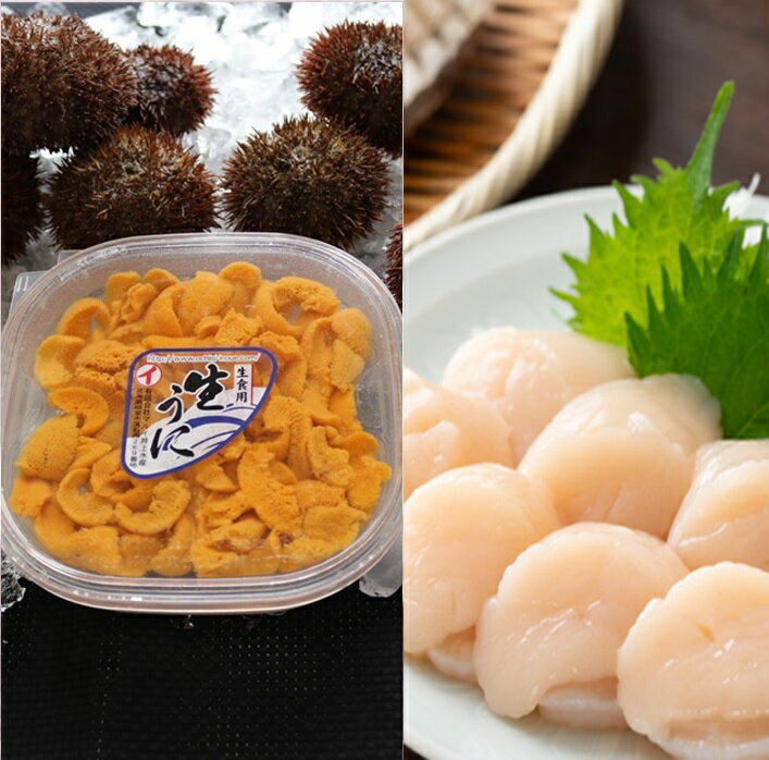 【ふるさと納税】 エゾバフンウニ塩水100g×2P、お刺身ホタテ貝柱500g×2P[11月下旬以降発送] E-71017