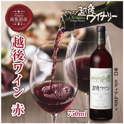 ふるさと納税 南魚沼市 越後ワイン 赤 750ml 越後ワイナリーの辛口 ミディアムボディ 魚沼ワイン
