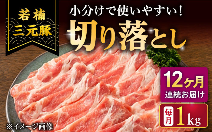 
                  【12回定期便】若楠三元豚 切り落とし 1kg（250g×4パック）/ナチュラルフーズ [UBH076] 小間切れ こま切れ 小分け 豚切り落とし 豚肉切り落とし 豚小間切れ こま切れ 豚こま 佐賀県 武雄市
                