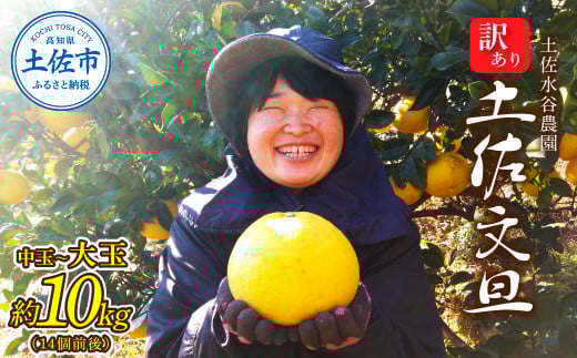 文旦 家庭用10キロ 10kg 中玉~大玉（3L～上限なし：14玉前後）皮むき器付き 訳あり 文旦 ぶんたん ブンタン 土佐文旦 家庭用 ご自宅用 柑橘 フルーツ 果物 高知 土佐市  32000円