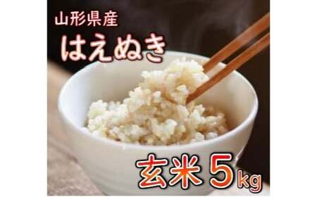 【令和7年産】 山形県産 はえぬき 玄米 5kg 米 コメ こめ F3S-3015