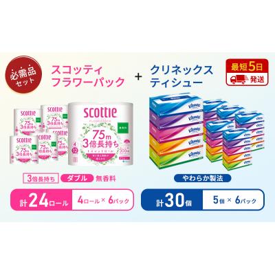 ふるさと納税 岩沼市 ティッシュ+トイレットペーパー無香料6P[No.5704-1786] |  | 01