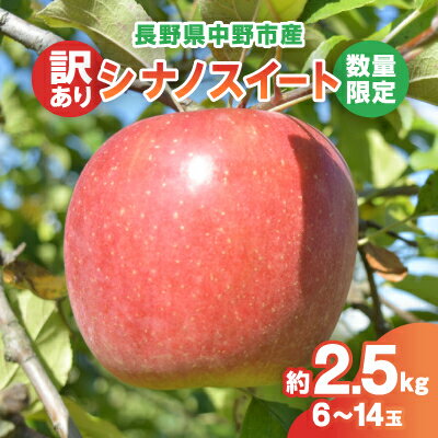 【ふるさと納税】【2025年発送】【数量限定!】シナノスイート 訳あり 約2.5kg 6-14玉 中野市産【配送不可地域：離島・北海道・沖縄県】【1414220】