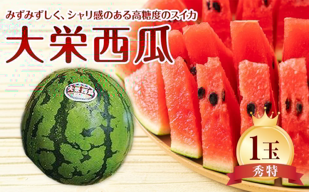 
            734.【先行予約】【JA】大栄西瓜 秀特×1玉 ※着日指定不可 ※離島への配送不可 ※2025年6月中旬頃～7月中旬頃に順次発送予定【大栄西瓜 西瓜 すいか スイカ フルーツ 果物 鳥取県 北栄町 おすすめ 人気】
          