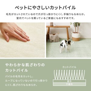 ペットにやさしい 8大消臭・抗菌 カーペット 1枚 6帖 アイボリー 約261×352cm 600095060 [3475]