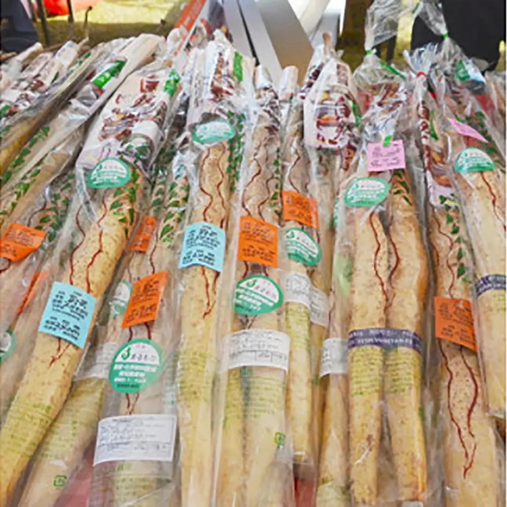 【先行予約】丸森町産 自然薯1kg 専用化粧箱入り レシピ集付き【12103】