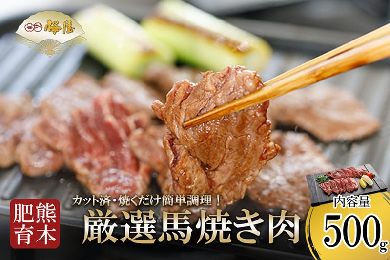 
            【桜屋】熊本と畜 馬肉 焼肉用 500g カット済 焼くだけ簡単
          
