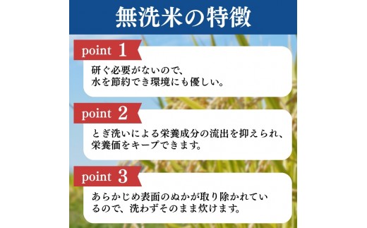 令和8年産 食味鑑定士厳選 新潟県産こしひかり 無洗米 10kg 上越市 米 コメ コシヒカリ ファインリョーコク