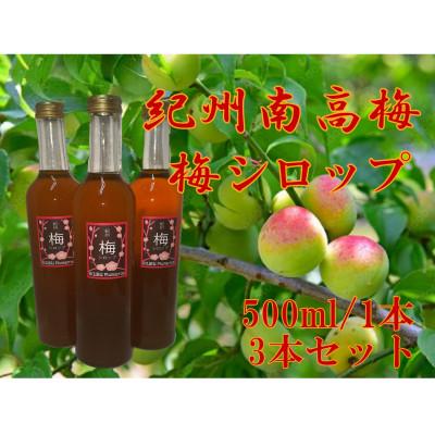 ふるさと納税 紀の川市 孫さんの紀州南高梅 梅シロップ500ml×3本セット