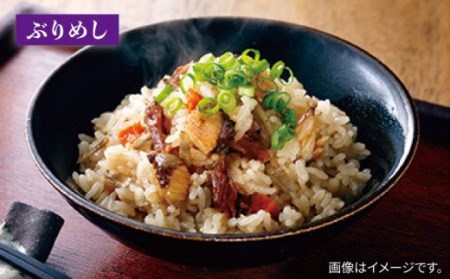 【全12回定期便】島の炊き込みご飯の素 炊き込みご飯 たき込みご飯 たこ さざえ ひじき ブリ セット 詰め合わせ 定期便 [JAH070] 132000 132000円