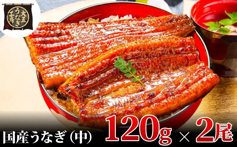 うなぎ 蒲焼 2尾 計240g 国産 大五うなぎ工房 うなぎ