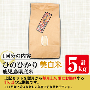 i880-B ＜定期便・計6回(連続)＞≪毎月数量限定≫鹿児島県産米ひのひかり 美白米(計30kg・5kg×全6回)【田上商店】