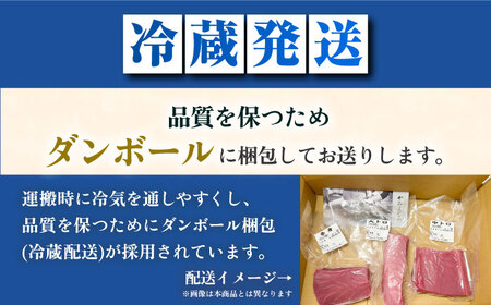【全6回定期便】五島列島産養殖生本かみまぐろ 赤身 500g[RBP062] 本マグロ 本まぐろ 定期便 本マグロ 本まぐろ 定期便 本マグロ 本まぐろ 定期便九州 長崎