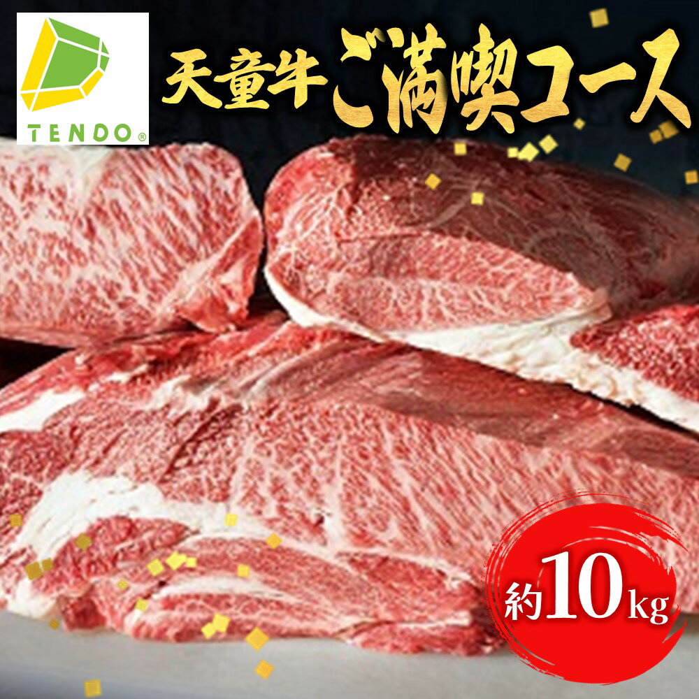 【ふるさと納税】 天童牛 ご満喫コース ロース リブロース サーロイン もも かた ( しゃくし ) 肩ロース 国産 黒毛和牛 和牛 牛肉 ブランド牛 山形牛 ご家庭用 のし 贈答 ギフト プレゼント お取り寄せ 冷凍 冷蔵 食品 送料無料 【 山形県 天童市 】