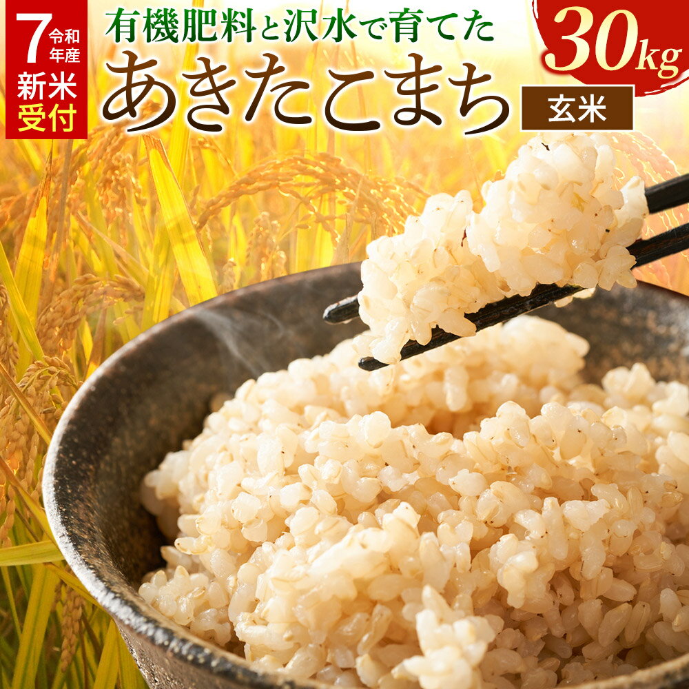 【ふるさと納税】《令和7年産 新米受付》米 令和7年 秋田県大仙市産 有機肥料と沢水で育てた あきたこまち【玄米】30kg