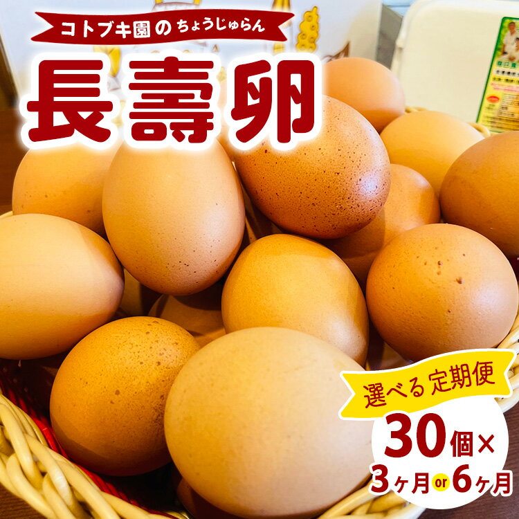 【ふるさと納税】【定期便】当社自慢の卵 長壽卵 | 卵 たまご タマゴ ちょうじゅらん 鶏卵 玉子 国産 定期便 先行予約 先行受付　※離島への配送不可　※2025年2月上旬～2025年10月下旬頃に順次発送予定