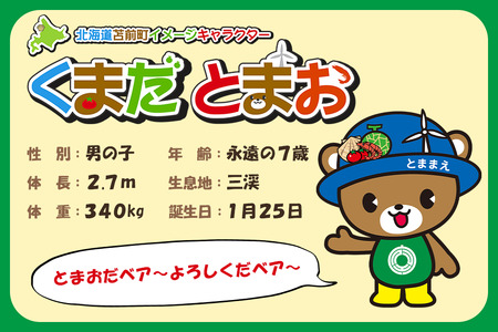 苫前町イメージキャラクター「くまだとまお」ぬいぐるみ （北海道・くま・クマ・熊・ゆるキャラ・マスコット・ご当地・PR・グッズ・かわいい・癒し）