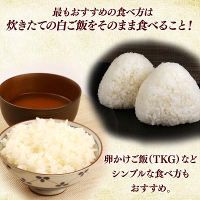 ふるさと納税 彦根市 令和7年産 ハナエチゼン白米無洗米10kg(5kg×2袋) 噛むたびに広がる甘み |  | 02