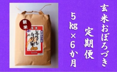 令和5年産！【定期便】『100%自家生産玄米』善生さんの自慢の米 玄米おぼろづき５kg　６か月　（全６回）【06110】