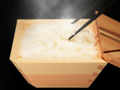 木製の冷凍ご飯容器　枡のおひつ「COBITSU」（こびつ）